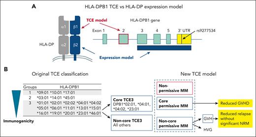Models for the selection of HLA-DPB1-mismatched unrelated donors. (A) HLA-DPB1 TCE and HLA-DP expression models for the selection of HLA-DPB1-mismatched unrelated donors. (B) Original classification of HLA-DPB1 TCE groups and new HLA-DPB1 TCE expression models proposed by Arrieta-Bolaños et al. NRM, nonrelapse mortality.