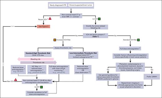 Management of acute VTE in patients with brain cancer, without recent ICH2.1Noncontrast head CT or brain MRI with and without contrast for preanticoagulation baseline assessment, if no imaging within preceding 2 weeks. 2Recent ICH defined as imaging evidence of ICH in past 30 days. Hemosiderin residues (usually intratumoral) are not considered to be recent ICH. 3Discuss risk-benefit ratio of anticoagulation and alternatives with patient and/or health care proxy and document before treatment initiation. 4Isolated distal DVT refers to calf vein DVT without known PE (and without clinical suspicion of PE). 5Isolated subsegmental PE refers to isolated subsegmental PE and absence of DVT on bilateral lower extremity ultrasound doppler. 6Close observation without anticoagulation includes lower extremity ultrasound doppler after 1 week (consider repeat in 2 weeks) to exclude new DVT or proximal DVT progression. LE, lower extremity; UE, upper extremity.