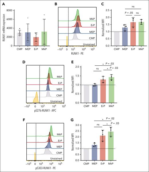 MkPs and ErPs have similar RUNX1 RNA and protein levels, but pS-RUNX1 levels are highest in MkPs. (A) DESeq2-normalized counts between CMPs, MEPs, ErPs, and MkPs were compared from 6 biological replicates (4 for MkPs). Dots of the same shape represent data from the same donor. (B,D,F) Representative images of intracellular staining with antibody targeting total RUNX1 protein (B), pS276-RUNX1 (D), and pS303-RUNX1 (F) with unstained cells used as controls. Dashed line is the cutoff for positive staining. (C,E,G) y-axes: the MFI for each population after normalization to the MFI of CMPs in each experiment. Dots of the same shape represent 1 experiment (from the same donor, processed in parallel). Average ± SD shown (∗P < .05). ns, not significant.