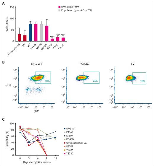 ERG LOF variants fail to drive megakaryocytic differentiation and cytokine independence. (A) In vitro differentiation of FLCs that overexpress WT ERG and variants. Immature stem or progenitor cell population with megakaryocytic features were stained using antibodies against cKIT+ and CD41+ with the percentage of double positive cells measured by flow cytometry (6 independent experiments). Pairwise comparisons are shown (∗∗∗∗P < .001 in comparison with WT). In all comparisons, a Student t test was used. (B) Example of gating strategy for cKIT+ and CD41+ expression on ERG WT– or variant-transduced FLCs. Cells were first gated for viability and mCherry expression. (C) Cell viability of FLC culture after cytokine removal measured over time.