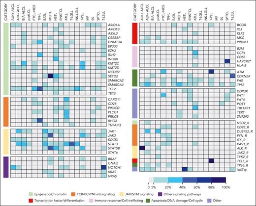 Mutational landscape of common T- and NK-cell neoplastic entities. Each column in the heat map represents a T/NK-cell neoplastic entity, and each row represents selected single nucleotide variants/indels and rearrangements (R), grouped according to functional annotations. The prevalence of mutations is color-coded, as shown in the legend. Genes with a mutational frequency of at least 10% observed in 1 or more mature T/NK-cell neoplasm were selected for display. Mutation frequencies 5%-10% were reported in some entities given their diagnostic or clinical value. ∗Refers to germ line mutation. BIA-ALCL, breast implant–associated ALCL; MF, mycosis fungoides; NK-LGLL, NK-large granular lymphocytic leukemia/chronic LPD of NK cells; pcALCL, primary cutaneous ALCL; SPTCL, subcutaneous panniculitis-like T-cell lymphoma; SS, Sezary syndrome; T-LBL, T-lymphoblastic leukemia/lymphoma; T-LGLL, T-cell large granular lymphocytic leukemia.