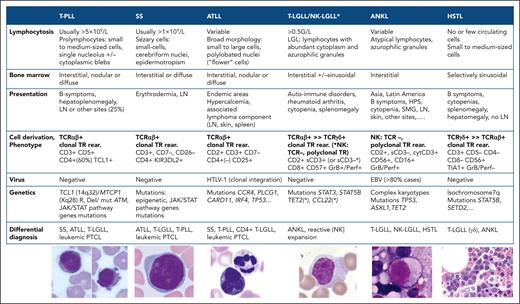 Differential diagnosis of leukemic T- and NK-cell neoplasms. ∗NK-LGLL differs from T-LGLL by the absence of expression of the TCR and lack of monoclonal TR rearrangement; the clonal neoplastic nature of this disorder is supported by a restricted activated KIRs expression and the presence of acquired mutations, especially in TET2, STAT3, and CCL22 (mostly exclusive). ANKL, aggressive NK-cell leukemia; BM, bone marrow biopsy; HPS, hemophagocytic syndrome; LN, lymphadenopathy; NK-LGLL, chronic LPD of NK cells/NK large granular lymphocytic leukemia; SS, Sezary syndrome; T-LGLL, T-cell large granular lymphocytic leukemia.