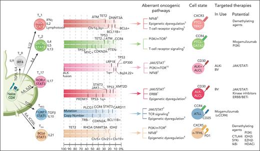 Major PTCL subtypes and association with TH cell states/cell-of-origin and genetic alteration. Although there is evidence from molecular or GEP studies indicating the association of transcriptional programs of major TH subset with PTCL subtypes, the genetic data suggest that specific driver genetic lesions may skew a naïve CD4+ T cell toward a TH differentiation to maintain that cell state and may take part with other genetic aberrations crucial for lymphomagenesis. It is also plausible that the genetic defects acquired along with transformation can modulate differentiation profiles and forced plasticity. Each colored box depicts mutation landscape and copy number data summarized from several recent genomic studies. The frequency of recurrent mutations/CN is arranged from left to right based on the frequency reported in the literature. Currently in-use and potential therapeutic targets are listed per cell state (Mereu et al,183 Feldman et al,184 Iqbal et al,38 Iqbal et al,10 Herek et al,158 Yu and Zhang,185 Sun et al,186 Liu et al,187 Bongiovanni et al,188 and Thakral et al189). ALKi, ALK inhibitor; BV, brentuximab vedotin; CN, copy number.