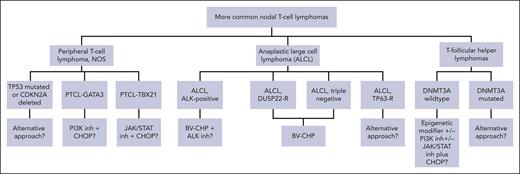 Potential future frontline induction therapy for common nodal PTCL. Future treatment of common PTCLs should recognize numerous distinct entities and appropriately incorporate novel agents to optimize the therapy for each individual. Alternative treatment approaches may be appropriate for subtypes associated with poor prognosis such as TP53-mutated or CDKN2A-deleted PTCL, NOS, TP63-rearranged ALCL, and DNMT3A–mutated TFH lymphomas. Hypothetical strategies are shown that integrate targeted agents based on biologic features or known drug sensitivity for disease subtypes.