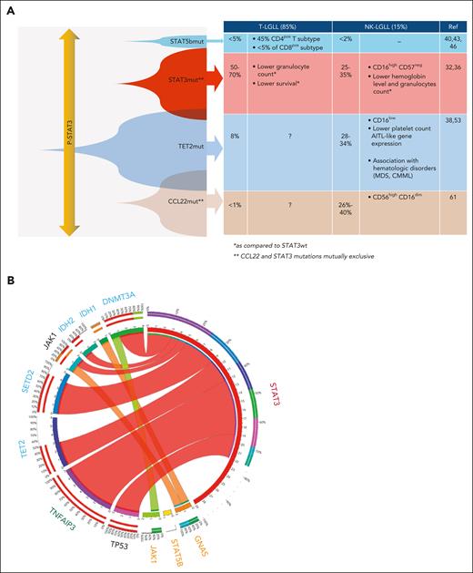 Mutational landscape of LGLL. (A) Clinicomutational correlation. STAT3, STAT5B, and TET2 mutations have been associated with specific clinicobiological features. ∗Compared with wild-type STAT3. ∗∗CCL22 and STAT3 mutations are mutually exclusive. (B) Mutational landscape of LGLL (N = 120 patients). Courtesy of Cédric Pastoret, Hematology Department, Rennes University Hospital. AITL, angioimmunoblastic T-cell lymphoma; CMML, chronic myelomonocytic leukemia; MDS, myelodysplastic syndrome; Ref, references.