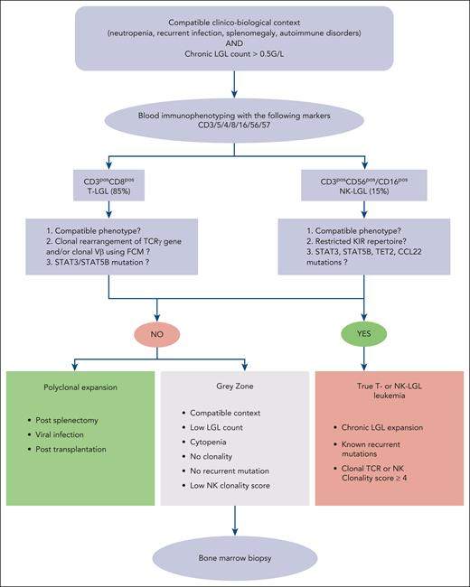 Diagnosis algorithm of LGLL. ∗NK clonality score based on 4 parameters: NK cell count of >11 × 109/L: 2 points; KIR restricted phenotype: 2 points; CD94 or NKG2Ahi: 1 point; STAT3, STAT5B, TET2, or TNFAIP3 mutation: 2 points.38