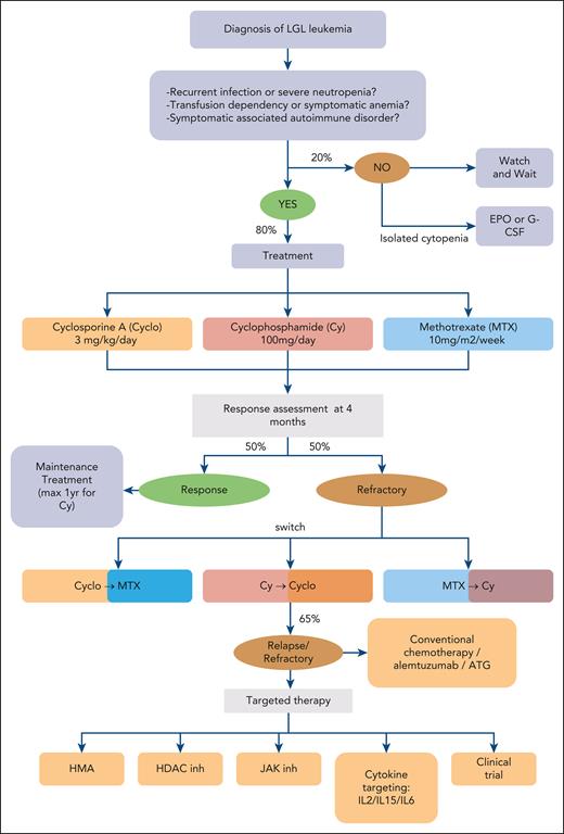 Treatment algorithm in LGLL.