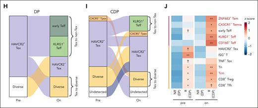 Epi-immunotherapy promotes the antitumor response mediated by diverse CD8+ tumor-reactive T cells. (A) Box plots showing normalized counts of total CD8+ and NK cells for paired pretreatment (Pre) and on-treatment (On) samples. Adjusted P values and fold change values by negative binomial-generalized linear models were also shown. Box middle lines, median; box limits, upper and lower quartiles; box whiskers, 1.5× the interquartile range. (B) The expression pattern of representative genes related to exhaustion, costimulation, cytotoxicity, chemokine, adhesion, and transcription factor in CD8+ T-cell clusters. ∗adjusted P value < .01 and log2 fold change > 0.15; †adjusted P value < .01 and log2 fold change > 0; test by limma analysis. (C) Scatterplots showing CD8+ T-cell clusters’ clonality measured by Shannon entropy–based index, the proportion of clonal cells (clone size ≥ 5). Size for proliferation activity indicated by MKI67+ cell proportion. (D) Box plots comparing clonality between pretreatment (Pre) and on-treatment (On) samples. Tests by paired t tests. (E) Box plots comparing the fractions of expanded clones between treatment groups. Fraction is the number of expanded clones in a patient divided by the total number of clones in that patient. (F) Pie charts showing the cell state compositions of expanded/contracted clones in the 2 treatment groups. Toth indicates other T cells besides exhausted T cells (Tex). (G) Heat map showing TCR sharing strength between cluster HAVCR2+ Tex and other CD8+ clusters in the 2 treatment groups. Top clusters with the highest sharing strength with HAVCR2+ Tex are highlighted in bold. (H-I) Sankey plots showing the dominant-state dynamics of large clones. Cells of the same clone in a paired pretreatment and on-treatment sample are connected. Color for the dominant transcriptomic state. Clones dominated by HAVCR2+ Tex or CXCR5+ Tex are plotted. (H) clones in DP-treated patients, (I) clones in CDP-treated patients. (J) Heat map showing the abundance of clusters in pretreatment and on-treatment tumors from responders (R; treated by CDP) and nonresponders (NR; treated by DP). Color for the average of z score–scaled abundance. The abundance in responders is compared with nonresponders by negative binomial-generalized linear models for pretreatment and on-treatment samples separately. Only CD8+ T clusters exhibiting significant abundance differences (nominal P < .05) are shown. The orange bar next to the left side annotates clusters having significant abundance differences in the pretreatment samples, and the red bar next to the left side annotates other clusters. The clusters exhibited significant abundance change between pretreatment and on-treatment samples are highlighted in red (see supplemental Figure 8F). ∗∗adjusted P < .01; ∗adjusted P < .05; †nominal P < .05.
