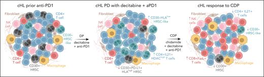 Schematic depiction of the proposed mechanisms of anti-PD-1 failure and efficacy of dual epigenetic targeting in R/R cHL. Simplified schematic depiction of selected key correlates of failure with DP as well as response to CDP treatment or R/R HL reported in the study by Nie and coauthors. cHL, classical Hodgkin lymphoma; FasL, Fas ligand; NK natural killer; PD-L1, programmed death protein 1 ligand 1.