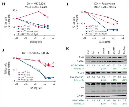 NG2 impairs the inhibition of the antiapoptotic PI3K/AKT/mTOR pathway in response to DX in MLLr B-ALL cells resulting in GC resistance. (A) Schematic representation of the GCR intracellular effects on the PI3K/AKT/mTOR pathway and the chemical inhibitors used to block the PI3K pathway (indicated in red color). (B-C) Immunoblots depicting the phosphorylation status of PI3K downstream members in both NG2WT and NG2KO SEM cells (B), as well as in NG2POS and NG2NEG MLLr B-ALL patient blasts in response to DX (C). (D) Immunoblots showing the levels of BCL2 family proteins in NG2WT and NG2KO SEM cells in response to DX are shown. Total protein levels are also shown. (E-G) Sensitization effect in response to DX of the indicated PI3K/AKT/mTOR pathway inhibitors at the indicated concentrations in NG2WT and NG2KO SEM cells. Right panels show area under the curve (AUC) for each viability curve. (H,I) Sensitization effect of MK-2206 (H) and rapamycin (I) in MLLr B-ALL blasts. (J) The MEK inhibitor PD98059 was used as a control for the absence of sensitization to DX. (K) Immunoblots showing the effect of PI3K/AKT/mTOR inhibitors alone or in combination with DX on BCL2 family proteins in NG2WT MLL-AF4+ SEM cells. ∗P < .05, ∗∗P < .01, ∗∗∗∗P < .0001, unpaired Student t test. Ns, not significant.