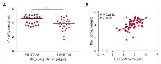 Ex vivo response of 47 primary MLLr-B-ALL cells to prednisolone. (A) NG2 RNA levels in prednisolone resistant and sensitive infants with MLLr-B-ALL. (B) Scatter plot showing the correlation between the expression of NG2 and FLT3. ∗∗P < .01.