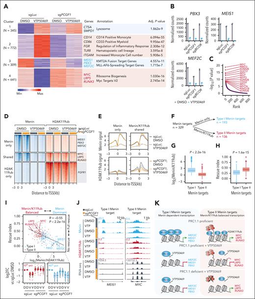 Loss of PRC1.1 leads to epigenetic reactivation of a unique group of noncanonical menin targets upon menin inhibition. (A) K-means clustering of differentially expressed genes in OCI-AML2 cells treated with DMSO or 1 μM VTP50469 for 6 days. Two replicates were used for each group. The list of representative genes and enrichment annotations for each cluster are shown on the right. (B) Normalized read counts for menin-MLL canonical target genes PBX3, MEIS1, and MEF2C in OCI-AML2 cells expressing sgLuc, sgPCGF1, and sgBCOR, followed by a 6-day treatment with DMSO or 1 μM VTP50469. Data were obtained from 2 biological replicates for each group. (C) Chromatin immunoprecipitation (ChIP) enrichment analysis of transcription factor target gene sets in cluster 4 genes as shown in panel A. (D) Heat map showing menin and H2AK119ub ChIP sequencing (ChIP-seq) peaks and their overlaps at transcription start sites of genes in indicated OCI-AML2 cells subjected to a 6-day treatment with DMSO or 1 μM VTP50469. (E) Averaged menin and H2AK119ub ChIP-seq signals over ±3 kb from transcription start sites of menin-specific target genes (left) and menin/H2AK119ub–shared target genes (right) in indicated OCI-AML2 cells subjected to a 6-day treatment with DMSO or 1 μM VTP50469. (F) Schematic illustrating the definition of type I and type II menin target genes. (G) Boxplots showing log2 ratio of menin signal to H2AK119ub signal within ±3 kb of the transcription start sites of type I and II menin target genes. (H) Boxplots illustrating the rescue indices of type I and II menin target genes. A rescue index value of 0 indicates no rescue effect, whereas a value of 1 denotes complete rescue. (I) Scatterplot showing a negative correlation between the rescue index and the signal balance of menin and H2AK119ub, represented by the log2-ratio of menin signal to H2AK119ub signal (top). Boxplots showing the log2FC in gene expression in the indicated OCI-AML2 cells compared with DMSO-treated sgLuc-expressing cells (bottom). Displayed are the top 10% of genes with the most balanced signals (left) and the top 10% of menin-dominant genes. (J) Menin and H2AK119ub ChIP-seq and RNA-seq profiles of representative type I and type II menin targets in indicated OCI-AML2 cells. (K) Schematic models depicting the mechanisms of transcriptional regulation by menin and PRC1.1-mediated H2AK119ub at type I and type II menin target genes. D, DMSO; RNA-seq, RNA sequencing; TSS, transcription start site; V, VTP50469.