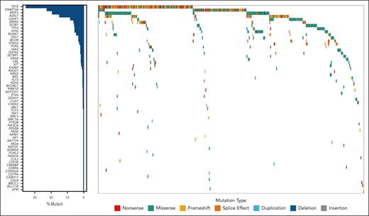 Mutational spectrum for patients with clonal cytopenia.