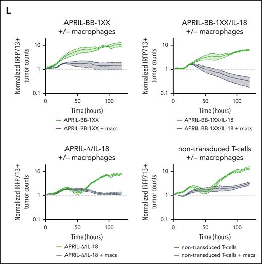 IL-18-mediated IFN-γ secretion activates macrophages to promote elimination of antigen-low myeloma. (A) Z-score heat map of proinflammatory cytokines in the peripheral blood of CAR T-cell–treated mice on day 8 of experiment, measured with the BioLegend Legendplex mouse inflammation panel of 13 cytokines. (B) IFN-γ concentration in the peripheral blood from panel A, measured with the BioLegend Legendplex mouse inflammation kit. Statistics were performed with the 1-way ANOVA test. (C) Abundance of CD11b+ F4/80+ macrophages in the BM of CAR T-cell–treated mice. Data are combined from at least 2 independent experiments. (D) Volcano plot of selected upregulated genes in BM macrophages from APRIL-BB-1XX/IL-18 vs APRIL-BB-1XX T-cell–treated mice. Genes with P value = 1 were filtered out before plotting. (E) GSEA plots of upregulated pathways related to hallmark interferon-gamma response, antigen presentation/processing and glucose utilization in BM macrophages from APRIL-BB-1XX/IL-18 treated mice. (F) Dotplot of mRNA transcript expression of genes related to antigen presentation and interferon response (more M1-like), M2/immunosuppression, macrophage activation, and glucose utilization in BM macrophages from mice treated with APRIL-BB-1XX T cells ± IL-18. Columns represent 3 replicate mice in each group. (G-H) Expression of MHC-II in BM macrophages as measured by CITE-seq (G) and flow cytometry (H). Flow cytometry data are combined from at least 2 independent experiments. (I) Production of tumor necrosis factor α (TNF-α) in BM macrophages as measured with flow cytometry, taken from a BM aspirate on day 10 of experiment. (J) Experimental setup of macrophage culture and isolation, followed by coculture of macrophages with T cells and antigen-low MOPC315.BMlow. BM was cultured with 25 ng/mL granulocyte-macrophage colony-stimulating factor (GM-CSF) for 7 days and then macrophages were harvested. Approximately 10 000 macrophages were cultured with 10 000 MOPC315.BMlow and 100 000 CAR T cells. (K-L) Incucyte cytotoxicity assay of APRIL-CAR T cells ± IL-18 expression and MOPC315.BMlow cocultured with macrophages. AUC was generated and statistical analysis was performed with the 1-way ANOVA test. Results are depicted as comparison of each T-cell group with macrophage coculture, or macrophages alone (K) and each T-cell product ± macrophages (L). Data are representative of at least 2 independent experiments. ∗∗P < .01; ∗∗∗P < .001; ∗∗∗∗P < .0001.