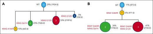 Single-cell sequencing showing 2 different subclones with different RAS mutations (A), and different mutations in the same subclone (B). WT, wild type.