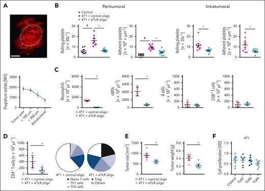 Effects of tumor-released extracellular nucleic acids on platelet and immune cell trafficking in experimental breast cancer. (A) Extracellular nucleic acids (red) released into the environment of 4T1 tumors as assessed by propidium iodide staining and in vivo microscopy on day 10 after tumor induction, a representative image (scale bar: 100 μm) and quantitative data for the fluorescence intensity relative to the distance from the tumor core (dotted line) are shown (mean ± SEM). (B) EC interactions of platelets in the peri- and intratumoral microvasculature of 4T1 tumors implanted into the left auricle in mice treated with blocking eTLR oligonucleotides or control oligonucleotides and of the left auricle of tumor-free mice; quantitative data are shown (mean ± SEM for n = 7 mice per group; #P < .05 vs control ∗P < .05 vs control oligo). Infiltration by (C) neutrophils, cMOs, B cells, CD8+ T cells, and (D) CD4+ T-cell subsets as assessed by flow cytometry as well as (E) size and weight of orthotopic 4T1 tumors, quantitative data are shown (mean ± SEM for n = 5 mice per group; ∗P < .05 vs control oligo). (F) Proliferation of 4T1 tumor cells exposed to agonists of TLR-7, -8, or -9 as assessed by 3-(4,5-dimethyldiazol-2-yl)-2,5 diphenyl tetrazolium bromide assay and quantitative data are shown (mean ± SEM for n = 6 mice per group).