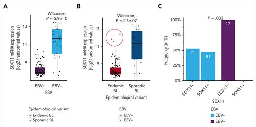 SOX11 is exclusively expressed in EBV− BL cases. (A-B) SOX11 mRNA expression (log2-transformed values) according to EBV status (EBV− and EBV+) (A) and epidemiological variant (endemic BL and sporadic BL) (B) of 117 pediatric BL cases. Red circle highlights high SOX11 expression in 3 BLs from endemic areas. Wilcoxon text was performed to test differences between groups. (C) Frequency of patients who are SOX11+ and SOX11− (by IHC) in an independent series of pediatric and adult sBLs (n = 189), according to EBV status. The Cochran-Mantel-Haenszel test was performed to test differences between the frequency in EBV− and in EBV+, while adjusting for cohort and group.
