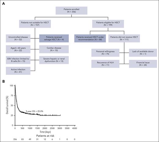 Cohort details. (A) Detailed reasons for performing HSCT or not. (B) Kaplan-Meier survival curves of entire cohort (n = 356).