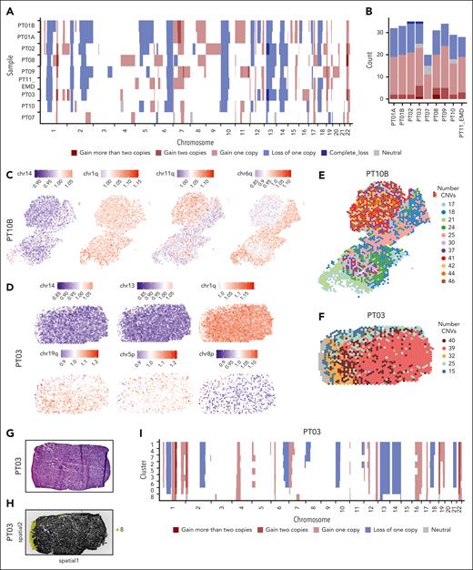 Clonal and subclonal CNVs highlight the spatial variation. (A) Hidden Markov Model (HMM)-based CNVs prediction depicting the state of CNVs (complete loss, loss of 1 copy, neutral, gain of 1 copy, gain of 2 copies, and gain of >2 copies) in regions across all 22 chromosomes. Each row represents a patient and each column represents a chromosome. The samples were ordered according to the number of CNV predicted with the patient with the highest number at the top. (B) The total number of predicted CNVs in each patient, color-coded, as in panel A. (C-D) Per spot mean residual expression values of all detected genes across a chromosome or chromosome arm in the ST sample of PT10B (C) and PT03 (D), respectively. The gain in the CNVs is represented in red and the loss is represented in blue. (E) The total number of predicted CNVs for each spot of PT10B. (F) The total number of predicted CNVs for each spot for PT03. (G) H&E staining of the punch biopsy from PT03. (H) Black and white images of punch biopsy of PT03 used for ST. Spots belonging to cluster 8 (normal skin) are highlighted. (I) HMM-based CNVs prediction of the ST Leiden clustering of the sample obtained from PT03, in which each row represents a cluster identified.