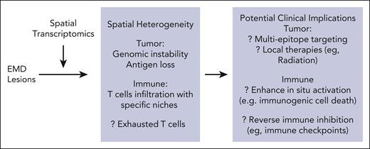 Spatial heterogeneity in extramedullary myeloma and potential clinical opportunities. Application of spatial transcriptomics to EMD lesions in myeloma revealed heterogeneity in both tumor and immune compartments. In turn, this has implications for consideration of strategies targeting features of EMD to improve outcomes. EMD, extramedullary disease.
