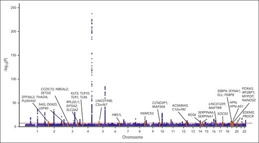 Mega-analysis single-variant results. Orange peaks are novel associated regions and are labeled with the names of genes in the region. Red line indicates genome-wide significance (P < 5E-09), and blue line indicates suggestive association (P < 1E-07).