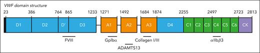 Domain structure of VWF. Structurally defined domain architecture of VWF, based on annotation by Zhou et al.5 Depicted are approximate binding sites for the ligands discussed in this review.
