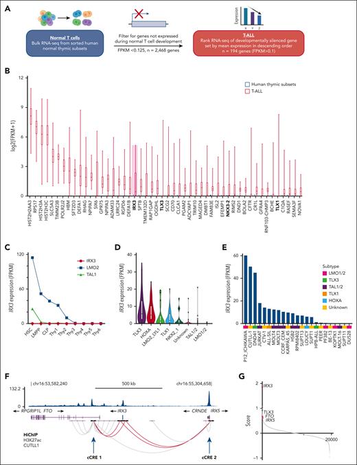 IRX3 is aberrantly expressed in T-ALL and resides in a shared topologically associated domain with E-P contacts to neighboring genes FTO, CRNDE, and IRX5. (A) Schematic outlining the comparative analysis conducted on bulk RNA-seq from developing T-cell subsets (National Center for Biotechnology Information Gene Expression Omnibus accession #GSE69239) and bulk RNA-seq from St. Jude’s pediatric T-ALL cohort (Liu et al, n = 264)20 to identify aberrantly expressed genes. (B) Box and whisker plot showing expression of top 50 genes aberrantly expressed in the St. Jude’s pediatric T-ALL cohort (n = 264) compared with normal hematopoietic progenitors (NCBI GEO accession #GSE69239); hematopoietic stem cells (HSCs), lymphoid primed multipotent progenitors (LMPPs), common lymphoid progenitors (CLPs), and T-cell subsets (Thy1-6). Expression values for T-cell subsets are from 2 replicates for each population and expression is FPKM averaged for each cell type. T-ALL cohort genes are ranked along the x-axis by mean expression. (C) Line graph tracking IRX3, LMO2, and TAL1 expression by RNA-seq across hematopoietic and thymic progenitors. RNA-seq from NCBI GEO accession #GSE69239, with the following immunophenotypic definitions: from bone marrow CD34+ cells, CD34+CD38–Lin− (HSCs), CD34+CD45RA+CD38+CD10−CD62LhiLin− (LMPPs), CD34+CD38+CD10+CD45RA+Lin− (CLPs); from thymic CD34+ cells, CD34+CD7−CD1a−CD4−CD8− (Thy1), CD34+CD7+CD1a−CD4−CD8− (Thy2), and CD34+CD7+CD1a+CD4−CD8− (Thy3); from thymic CD34− cells, CD4+CD8+ (Thy4), CD3+CD4+CD8− (Thy5), and CD3+CD4−CD8+ (Thy6). (D) Violin plot showing IRX3 expression (FPKM) by RNA-seq from the St. Jude primary T-ALL cohort separated by class-defining oncogenic subtypes (n = 264). (E) Bar chart showing IRX3 expression (FPKM) by RNA-seq from T-ALL cell lines (n = 24) and labeled by oncogenic subtype. (F) E-P interactions about the IRX3 locus mapped by HiChIP after pull-down for H3K27ac from the IRX3-positive CUTTL1 T-ALL cell line (NCBI GEO accession #GSE115896) and ChIP-seq for H3K27ac in CUTTL1 cells. Loops between IRX3 and cCREs for IRX3 are highlighted in red and indicated with arrows. (G) Ranked gene list by comparing IRX3-positive (top, n = 59) vs IRX3-negative (bottom, n = 59) T-ALL samples by RNA-seq from the St. Jude cohort. The y-axis ranking score metric for each gene was calculated by the GSEA “Signal2Noise” computational method for categorical phenotypes. Genes are listed along the x-axis in order of the ranked score. cCREs, candidate cis-regulatory elements.