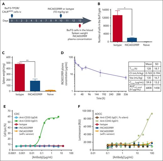 INCA033989 antagonizes mutCALR-dependent cell proliferation in vivo. (A) Study schematic. NSG mice (n = 4 per group) were inoculated IV with 20 000 Ba/F3-TPOR/CALRdel52 cells. A single 10-mg/kg intraperitoneal dose of INCA033989 or isotype was administered on day 10 after cell inoculation. The number of Ba/F3 cells in the blood, spleen size, and drug exposure were monitored on day 13 (3 days after a single injection of INCA033989). Noninoculated untreated NSG-naive mice were used as controls (see supplemental Methods for details). (B) Relative numbers of Ba/F3 cells in a sample of whole blood. (C) Spleen weight. Data are presented as the mean ± standard error of the mean (SEM; n = 4 mice per group). Significance was calculated using a parametric t test. ∗P < .05; ∗∗P < .01. (D) INCA033989 PK in hFcRn mice. Mice (n = 4) were dosed IV with 5 mg/kg of INCA033989, the drug concentration was measured in the plasma over time, and PK parameters were calculated. (E) INCA033989 does not induce CDC. TF-1-TPOR/CALRdel52 cells were treated with INCA033989 and other control antibodies for 4 hours in the presence of 5% baby rabbit serum for assessment of cell cytotoxicity. Digitonin (10%) was used as the positive control for cell lysis. The graph shows representative results from 3 independent experiments. (F) INCA033989 does not induce ADCC. Jurkat FcγIIIA reporter effector cells and TF-1-TPOR/CALRdel52 cells (4:1 effector-to-target cell ratio) were treated with INCA033989 and other control antibodies for 24 hours for assessment of FcγIIIA engagement. The graph depicts a representative of 3 independent experiments (See supplemental Methods for further details). ADCC, antibody-dependent cellular cytotoxicity; AUC, area under concentration-time curve; Cl, clearance; Cmax, maximum observed plasma concentration; ip, intraperitoneal; RLU, relative light units; T1/2, half-life; Vss, steady-state volume of distribution.