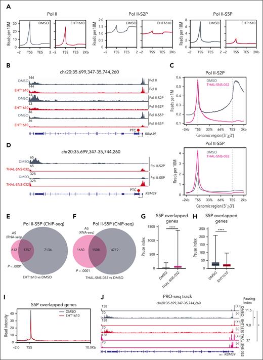 Pol II distribution and pausing are altered with disruption of cotranscriptional splicing. (A) ChIP-seq signal of Pol II (left), p-Ser2 Pol II (middle), and p-Ser5 Pol II (right) from NALM6 cells treated with DMSO and EHT1610 (5 μM). The average profiles of DMSO and EHT1610 that covered ±2 kb of the gene were plotted. (B) Snapshots of RBM39 loci (IGV browser) with ChIP-seq signals for Pol II, p-Ser2 Pol II, and p-Ser5 Pol II upon EHT1610 treatment in NALM6 cells. (C) ChIP-seq signal of p-Ser2 Pol II (left) and p-Ser5 Pol II (right) from NALM6 cells treated with DMSO and THAL-SNS-032 (500 nM). The average profiles of DMSO and THAL-SNS-032 were plotted and covered ±3kb of the gene. (D) Snapshots of RBM39 loci (IGV browser) with ChIP-seq signals for p-Ser2 Pol II and p-Ser5 Pol II upon THAL-SNS-032 treatment in NALM6 cells. (E) Venn diagram showing overlapped alterative spliced genes (analyzed from Figure 1B) and decreased p-Ser5 Pol II ChIP-seq signal genes upon EHT1610 treatment. (F) Venn diagram showing overlapped alternatively spliced genes (analyzed from Figure 2C) and differential p-Ser5 Pol II ChIP-seq signal genes upon THAL-SNS-032 treatment. (G-J) NALM6 cells were treated with DMSO and EHT1610 (5 μM) for 4 hours and with THAL-SNS-032 (500 nM) for 8 hours followed by PRO-seq. (G) Comparison of the pausing indexes of the overlapping genes in (F). (H) Comparison of pausing indexes of those overlapped genes in (E). (I) Metagene plot showing PRO-seq signal in NAML6 cells treated with DMSO and EHT1610 for those overlapped genes in (E). (J) Snapshot of PRO-seq track on the RBM39 locus in NALM6 cells with DMSO, EHT1610, and THAL-SNS-032 treatment. (+) indicates transcription from left to right; (−) indicates transcription from right to left. The pausing indexes for the RBM39 locus are indicated to the right (n = 2; ∗P < .05).