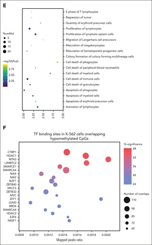 DNA methylation and hydroxymethylation results. (A) Global methylation and hydroxymethylation at baseline and after treatment (week 12). No significant changes were observed in either the patients with stable disease or the patients who demonstrated disease progression. (B) Volcano plots showing methylation changes in patients with stable disease (n = 5) and patients with disease progression (n = 3). Cytosine-phosphate-guanine sites (CpGs) with delta beta >5% and P values < .05 were considered significant. (C) Bar chart showing the proportion of differentially methylated CpGs in chromatin states from peripheral blood mononuclear cells reference in patients with stable disease (n = 5). Genomic association tester was used to determine whether the proportion of CpGs in each chromatin state showed significant enrichment. Only the hypomethylated CpGs showed significant enrichment in Enh, EnhBiv, and EnhG regions. (D) Correlation of methylation changes with hydroxymethylation changes in patients with stable disease (n = 5). CpGs with P values < .05 were plotted to demonstrate the impact on both 5 mC and 5 hydroxymethylcytosine at that site. The CpGs highlighted in red are the 935 hypomethylated CpGs identified in panel B. (E) Diseases and functions associated with hypomethylated CpGs in patients with stable disease. Data were analyzed using ingenuity pathway analysis. (F) Overlap of hypomethylated CpGs in patients with stable disease with publicly available K-562 TF binding data using ReMapEnrich. Enh, enhancer; EnhBiv, bivalent enhancer; EnhG, genic enhancer; PVal, P value.