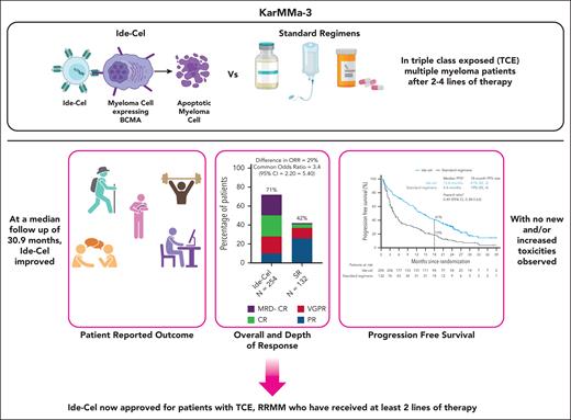 Summary of the main findings from the updated analysis of the KarMMa-3 study. Figure generated with BioRender.com.