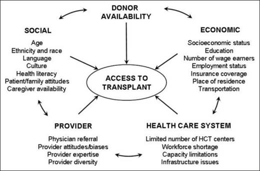 Access to allogeneic hematopoietic stem cell transplant paradigm. Reproduced from Majhail et al,40 © 2010 American Society for Blood and Marrow Transplantation, with permission from the American Society for Blood and Marrow Transplantation.