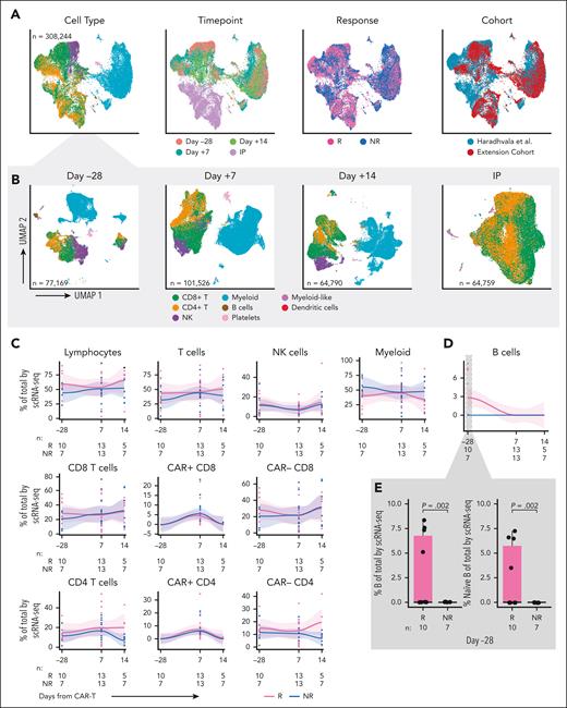 Single cell RNA-sequencing of longitudinal patient samples. (A) Uniform manifold approximation and projection (UMAPs) of the entire scRNA-seq data set (randomly subsampled for display due to the large number of cells) shaded by cell type (left), time point (second from left), response (second from right; Rs in pink vs NRs in blue), and cohort (right). (B) UMAPs showing cells by major cell type at day –28 (left), day +7 (second from left), day +14 (second from right), and IP (right). (C) scRNA-seq analysis of immune cell subset composition, including CAR+ and CAR– CD4 and CD8 cells, over time in Rs (pink) vs NRs (blue). Curves fit by loess smoother. Cells are denoted as CAR+ if at least 1 CAR transcript was detected. For a subset of samples from Haradhvala et al11 cohort at day +7, cells were sorted by flow cytometry for the CAR, in which case those designations are used. (D) scRNA-seq analysis of B-cell composition over time in Rs (pink) vs NRs (blue). (E) scRNA-seq analysis of B cells at day –28 (inset, left) and subsetted to naïve B cells (inset, right). NK cell, natural killer cell.