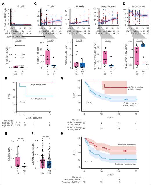 Flow cytometry analysis of longitudinal patient samples. (A) Flow cytometry (FC) analysis over time of total B cells in Rs (red) vs NRs (light blue). Time from last anti-CD20 directed therapy (in months) indicated by lines. P values by Wilcox. (B) Percent PFS for FC patients with higher baseline circulating B cells (red) compared with the remaining patients with lower baseline circulating B cells (blue). (C) FC analysis of T cells (left), NK cells (middle), and lymphocytes (right) before and after infusion; box plot of Rs vs NRs cell type proportions at day –28 (baseline; inset). (D) Percent of monocytes by FC in Rs vs NRs before and after infusion. (E) Ratio of ALC/AMC in Rs (red) vs NRs (blue) at day –28 measured by FC. (F) ALC/AMC at day –28 in all patients treated with commercial axi-cel at DFCI between 2018 and 2022, measured by clinical CBC with differential; Rs (pink; n = 128); NRs (turquoise; n = 102). (G) Percent PFS for ZUMA-1 patients with baseline circulating B cells ≥0.5% (pink) compared with patients with baseline circulating B cells <0.5% (light blue). (H) Percent PFS for ZUMA-1 patients predicted to respond based on baseline circulating B cells ≥0.5% or ALC/AMC ≥ 1.2 (pink) compared with patients predicted to not respond (ie, baseline circulating B cells <0.5% and ALC/AMC <1.2; light blue). NK cell, natural killer cell.