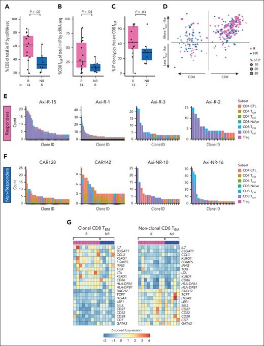 Single cell T cell receptor clonality and functinonal state in infusion products. (A) Proportion of CD8 T cells in IPs of Rs (pink) vs NRs (blue) by scRNA-seq. (B) Proportion of CD8 TEM cells in IPs of Rs (pink) vs NRs (blue) by scRNA-seq. (C) Proportion of sets of clonally expanded cells (“clonotypes”) in IPs that have majority CD8 TEM phenotypes of R (pink) vs NR (blue) by scRNA-seq. Cells are considered clonally expanded if there are >2 cells sharing the same TCR CDR3 sequence. (D) Scatterplot of T-cell clonotypes of Rs (pink) and NRs (blue) by subset: CD4 (left) or CD8 (right) and more effector memory (upward arrow) vs less effector memory/more central memory (downward arrow). The CD4 vs CD8 score is computed as the difference between mean normalized CD8A gene expression and mean normalized CD4 gene expression among the cells in each clonotype. The effector memory score is computed as the mean normalized expression of the genes GZMA, GZMB, GZMH, GZMK, GZMM, PRF1, GNLY, IFNG, and TNF in each clonotype. Up to the largest 25 clones for each patient are shown. (E-F) Histograms of top expanded T-cell clones and their respective T-cell subsets for 4 representative Rs (E) and NRs (F). In the x-axis, each bar represents an individual clone; y-axis, number of members of each clone (“count”). CD8 TEM are shown in purple. (G) Differential gene expression analysis of clonally expanded (left) vs nonclonally expanded (right) CD8 TEM cells in the IP, pseudobulked, and normalized by patient and labeled subset. Patients with <30 cells of either clonally expanded or nonclonally expanded CD8 TEM cells were excluded. Treg, regulatory T-cell.