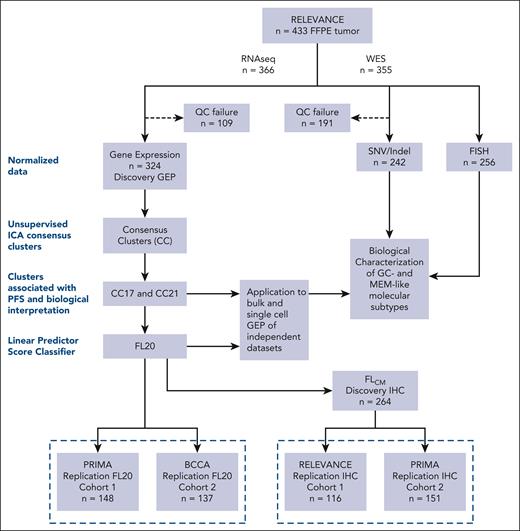 Workflow and summary of cohorts used for RNA-seq, WES, and IHC. The study starts with a RELEVANCE biomarker cohort of 433 formalin-fixed, paraffin-embedded (FFPE) samples (top box). The subset of 324 RNA-seq analyzed RELEVANCE samples was considered as the discovery GEP cohort. The discovery steps and processes applied for clustering and development of an RNA-seq classifier are depicted (left dotted rectangle). In addition, WES and fluorescent in situ hybridization data could be analyzed in 242 and 256 FL tumors, respectively (right). To set up an IHC algorithm, a cohort of 264 FFPE samples with available RNA-seq data was used (discovery IHC cohort). Replication experiments (below dotted line) were performed for validation of the RNA-seq predictor (FL20) and IHC algorithm (FLcm) using different cohorts. Samples from the PRIMA trial were used for RNA-seq and IHC data validation (n = 148 and 151, respectively). Published data from BCCA (n = 137) were used for RNA-seq validation. Additional FFPE RELEVANCE samples without RNA-seq data (n = 116), which were not included in the initial discovery IHC cohort, were used to further validate IHC.