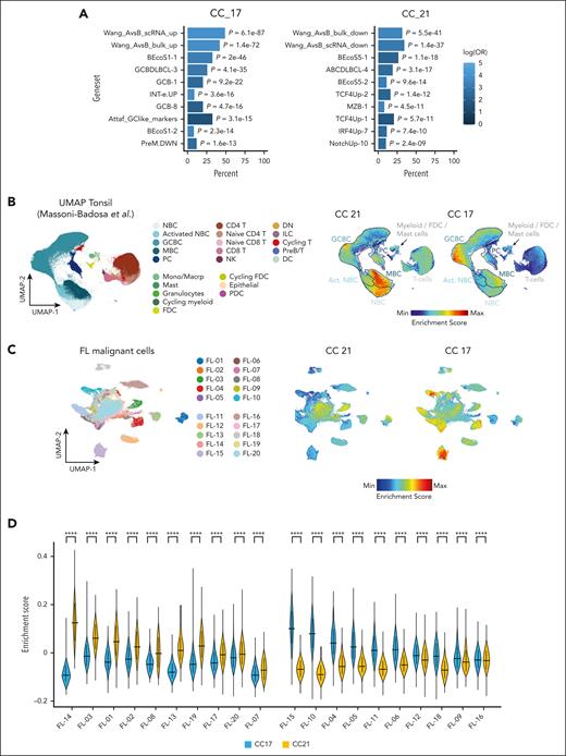 Biological relevance of the CC17 and CC21 gene clusters. (A) The top 10 gene sets enriched for CC17 and CC21 were analyzed against a collection of lymphoma related signatures, including DLBCL COO related signatures.23,29 There was significant overlap of CC17 with GCB-DLCL and normal GC B-cell signatures (left), whereas CC21 was associated with ABC-DLCL and IRF4/TCF4-driven signatures (right). CC17 and CC21 were respectively enriched in the type-A and type-B FL transcriptional signatures described by Wang et al.17 Supplemental Table 3 contains detailed results and gene sets descriptions. (B) A comparative analysis of CC17 and CC21 signatures against single-cell signatures of normal B-cell lineages along the developmental trajectory. We used signatures and scores from the published Uniform Manifold Approximation and Projection (UMAP) Tonsil Atlas26 (left panel is a reproduction of figure 1 from Massoni-Badosa et al26). Projections of CC21 and CC17 on the UMAP Tonsil Atlas show overexpression of CC17 and CC21 signatures in distinct maturation states of B cells. Hence, the patient segment defined by CC17 was named GC-like and the segment defined by CC21 was named MEM-like subtype. (C-D) Enrichment score of CC17 and CC21 signatures in an external single-cell RNA-seq data set of patients with FL.27 (C) Enrichment scores for CC21 and CC17 are projected on the UMAP plot of malignant B cells from 20 patients with FL (8111 cells) profiled and annotated according to sample ID. (D) Violin plot showing the mean and standard deviation of the CC21 and CC17 enrichment scores in each patient sample. ∗∗∗∗P < .0001, Wilcoxon test with Bonferroni correction. NBC, activated naive B cells; NBC, naive B cells; PC, plasma cells; FDC, follicular dendritic cells.