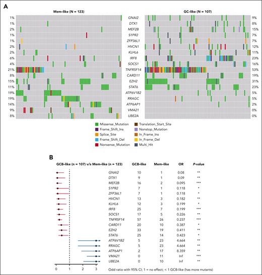 Correlations between transcriptomic and mutational profiles. (A) Differences in the mutation profiles between GC-like and MEM-like samples analyzed by WES in 230 FL samples from the discovery GEP cohort. Oncoprints show variants in the 18 significantly mutated genes (SMGs) (out of the 55 SMGs observed in the whole cohort), which were identified as differentially mutated between GC-like and MEM-like subtypes. (B) Forest plot showing gene mutation frequencies between GC-like and MEM-like segments. The squares and horizontal lines represent the odds ratio and 95% confidence interval for the corresponding gene. ∗P ≤ .05; ∗∗P ≤ .01; ∗∗∗P ≤ .001.