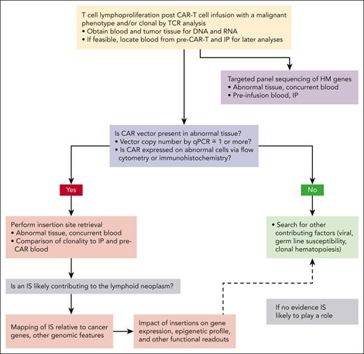 Schematic of suggested workup and analysis of T-cell lymphoproliferation or possible tumor in a recipient of CAR-Ts. qPCR, quantitative PCR.