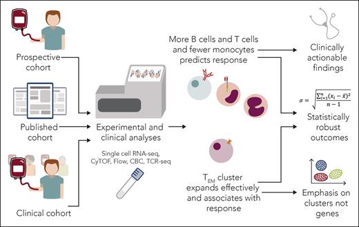 Maurer et al have undertaken a manifold analysis of multiple patient cohorts at multiple times receiving CAR-T therapy. The conclusions provide further insight into this vital therapy and chart a path forward for clinical application and further studies. CyTOF, cytometry by time of flight; TEM, effector memory T cell. Professional illustration by Somersault18:24.