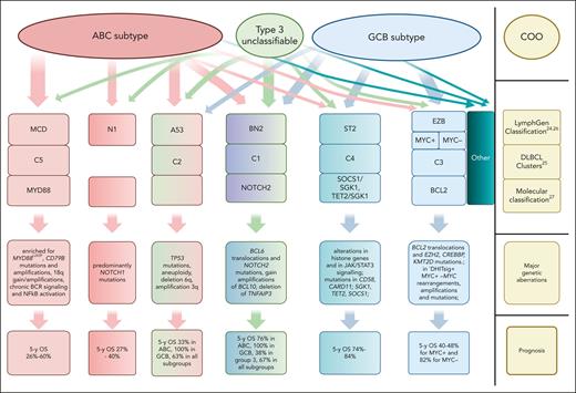 Relationship between COO and probabilistic genetic subtypes as proposed by Schmitz et al,24Chapuy et al,25Lacy et al27(adapted from Wright et al26and de Leval et al50). Major genetic aberrations and prognosis are also shown. The width of the arrows and the solid color of the boxes correspond to the strength of the correlation between COO and molecular subtype. For example, the MCD/C5/MYD88 subtypes are assigned purely to the ABC group, whereas EZB/C3/BCL2 belongs almost exclusively to GCB subtypes. The molecular subtypes shown in boxes with color gradients include lymphomas originating from different COO groups. Notably, 37% of lymphomas cannot be assigned with sufficient probability to any of the molecular subtypes, as shown in the far-right panel. There is also a small subgroup of tumors called the composite group, presenting genetic aberrations characteristic of >1 molecular subtype (not shown in the figure). Taxonomy/abbreviations of the genetic subtypes are described in the cited original publications.