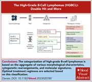 Graphical abstract for: The high-grade B-cell lymphomas: double hit and more;