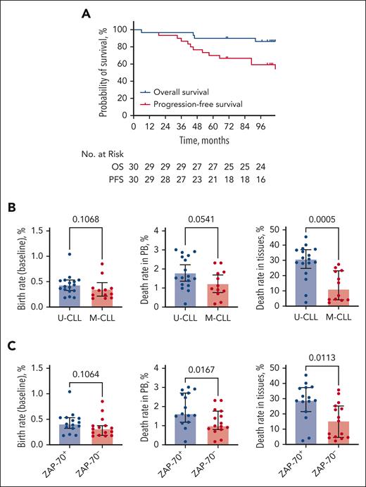Survival on ibrutinib therapy and CLL cell kinetics during the first months of treatment. (A) Overall survival (OS) and PFS of patients enrolled in the study. (B) CLL cell birth rates prior to the start of therapy (left) and CLL cell death rates in PB (middle) and tissues (right), measured at the beginning of ibrutinib therapy. Depicted are comparisons between patients with unmutated vs mutated IGHV (U-CLL vs M-CLL). Median with interquartile range. (C) The same parameters were compared between patients with ZAP-70+ and ZAP-70– CLL.