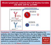 Graphical abstract for: Deuterated water labeling in ibrutinib-treated patients with CLL: leukemia cell kinetics correlate with <em>IGHV</em>, ZAP-70, and MRD;