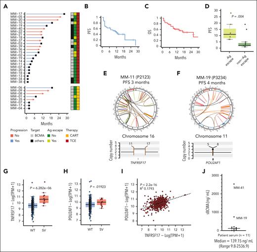 Patient cohort treated with targeted T-cell therapies (n = 28). (A) Swimmer plot representing the PFS of patients treated with TCE or CAR T targeting BCMA (grey box) or other non-BCMA antigens (black box). The red line indicates ongoing response and the blue line indicates progression. The dark green box indicates patients who did not have antigen loss and the light green box indicates patients who had target antigen loss at relapse. The dark red box indicates patients who received TCE and the yellow box indicates patients who received anti-BCMA CAR T. (B) PFS of the patient population in months. (C) The OS of the patient population in months. (D) Box plot comparing the PFS of patients with or without antigen loss at relapse. (E) Circos plot of patient MM-11 based on WGS data. The outer track runs clockwise from chromosome 1 to Y. The inner track shows copy number variations (gains in blue, losses in pink). Lines inside the circle represent SVs (deletions in red, duplications in green, inversions in blue, interchromosomal translocations in black). The copy number and SV plot represents a gain of TNFRSF17. (F) Circos plot of patient MM-19 based on WGS data. The copy number and SV plot represents the gain of POU2AF1. (G) A box plot of TNFRSF17 transcript expression in samples with wild type (WT) vs those with a SV from the CoMMpass data set. (H) A box plot of POU2AF1 transcript expression in samples with WT vs those with an SV from the CoMMpass data set. (I) Dot plot representing the correlation between POU2AF1 and TNFRSF17 expression from the CoMMpass data set. (J) Dot plot depicting the sBCMA (ng/mL) levels measured by sBCMA enzyme-linked immunosorbent assay from patient serum (n = 11 samples). The black horizontal line represents the median.