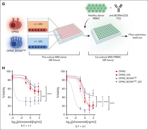 Cumulative effect of E:T ratio (tumor burden), sBCMA levels, and TCE dose intensity on anti-BCMA TCE efficacy. (A-C) The TCE cytotoxicity assay dose-response curve. OPM2 or OPM2_BCMAhigh target cell viability 48 hours after coculture with healthy donor PBMCs at the indicated E:T ratios with elranatmab (A-B) or talquetamab (C). PBMCs and TCE were mixed with sBCMA before adding the target MM cells. Raw values for the triplicate experiments of cell viability measurement and calculated P values are indicated in supplemental Tables 5-7. (D) Scatter plot representing levels of sBCMA measured from the culture media of OPM2 or OPM2_BCMAhigh cells after 48 and 96 hours. At time 0, the cells were seeded at 1 × 105 cells per mL with or without GSI at a dose of 200 nM. The supernatant was collected at the respective time points and the sBCMA levels analyzed by enzyme-linked immunosorbent assay. Raw values for the triplicate experiments and the calculated P values are indicated in supplemental Table 8. (E) Flow histogram representing surface BCMA levels on OPM2 or OPM2_BCMAhigh cells treated with GSI at 200 nM at time 0. (F) Dot plot representing the ratio of sBCMA (ng/mL) to membrane BCMA (mBCMA) MFI levels at 48- and 96-hour time point. (G) Illustration of the experimental protocol. Target MM cells were resuspended in fresh media at 1 × 105 cells per mL with or without GSI at time 0 and cultured alone for 48 hours to allow the accumulation of sBCMA in the media. At 48-hour mark, PBMCs and TCE were spiked into the wells and cocultured for an additional 48 hours, after which target cell viability was assessed by flow cytometry. Figure created with BioRender.com. (H) The TCE cytotoxicity assay with or without GSI. The target cell viability was assessed by flow cytometry. Raw values for the triplicate experiments of cell viability measurement and the calculated P values are indicated in supplemental Table 9. ∗∗∗P ≤ .001; ∗∗∗∗P ≤ .0001.