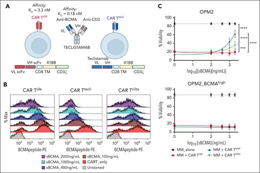 Effect of sBCMA on anti-BCMA CAR T cytotoxicity. (A) Design of CAR Ttecli. Anti-BCMA scFv domain of CAR Tide was replaced with the anti-BCMA heavy and light chain variable domains of teclistamab to generate CAR Ttecli. Figure created with BioRender.com. (B) Histogram of PE-conjugated BCMA peptide binding on CAR Tide, CAR Ttecli, and CAR Tcilta in the presence of recombinant sBCMA. (C) OPM2 or OPM2_BCMAhigh cell viability 48 hours after coculture with anti-BCMA CAR T. Raw values for the triplicate experiments of cell viability measurement and calculated P values are indicated in supplemental Table 10. ∗∗∗P ≤ .001; ∗∗∗∗P ≤ .0001.
