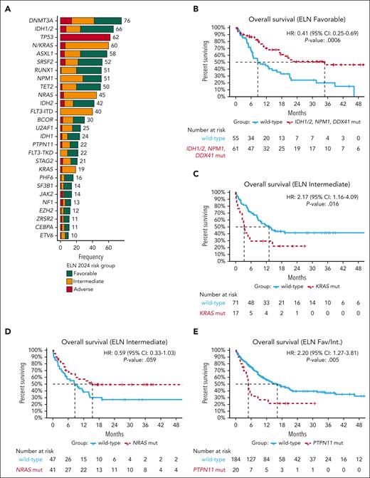 Genetic landscape and survival of patients treated with HMA+VEN combinations. (A) The genetic landscape of 266 patients treated with HMA+VEN combinations, displaying the frequency of mutations (mut) present in ≥10 patients. Notably, most muts (other than those used for current risk-group assignment) could be found across all ELN24 risk groups. (B) Within the ELN24 favorable-risk subgroup, patients with mutated NPM1, IDH1, IDH2, or DDX41 experienced particularly favorable survival compared with other included patients. (C-D) Within the ELN24 intermediate-risk subgroup, KRAS muts but not NRAS muts were associated with inferior survival. (E) When evaluating other RAS/receptor tyrosine kinase signaling pathway gene mut’s impact on survival, PTPN11 muts correlated with inferior outcomes. CI, confidence interval; Fav/Int, favorable/intermediate risk; HR, hazard ratio.