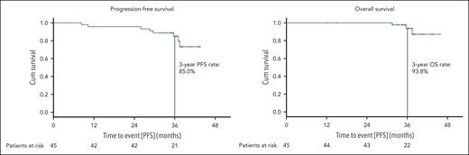 Progression-free and overall survival. PFS (A) and OS (B) are shown for the whole study population; patients at risk at the respective time points are listed below.