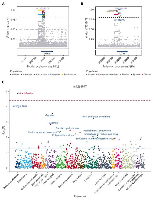 Genetic variants in LD with the LGR6 frameshift variant have been associated with viral infections. Genetic variants in LD with rs74355478 were found using the 1000 Genome Project cohort (phase 3) and their associations with phenotype were identified using phenotype association analysis (PheWAS) in the UK Biobank data set. LD plots indicating the r2 value of the genetic variants (single dots) with rs74355478 in all populations (A) and European subpopulations (B). The colors of the dots indicate the population in which the SNPs in LD (black dotted line; r2 > 0.8) with rs74355478 were identified. The location of the SNPs and LGR6 gene is based on the Grch37 human reference genome. (C) PheWAS analysis (logistic regression models considering as covariates sex, age, UK Biobank assessment center, and the 10 first principal components associated with population stratification) of rs4266947 in the British population (n = 431 367) of UK Biobank data set. The x-axis represents the different phenotypes grouped by domains, whereas the y-axis expresses the P value for each condition. Positive and negative associations are indicated with up- and down-pointing triangles, respectively. The blue dotted line indicates the statistical significance of P value <.05 and the red dotted line highlights statistical significance after multiple comparison corrections (Benjamini-Hochberg). NOS, not otherwise specified.